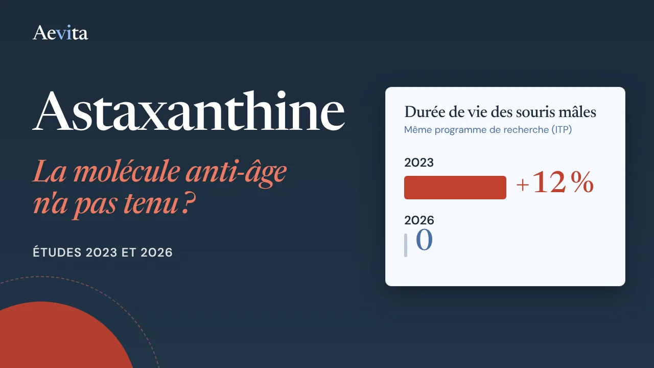 Vidéo Aevita sur l'astaxanthine : +12 % de durée de vie chez la souris en 2023, aucun effet en 2026