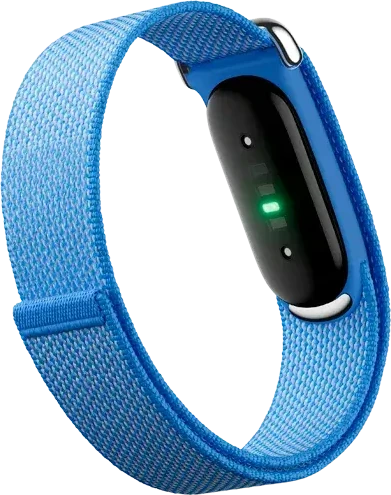 Google Fitbit Air